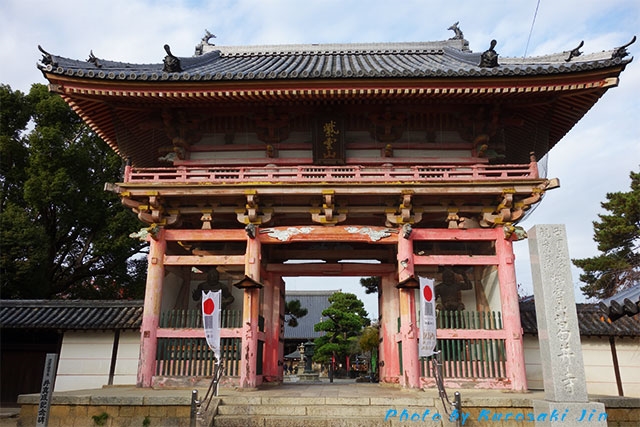 藤井寺を観光するなら、まずは葛井寺へ行こう！